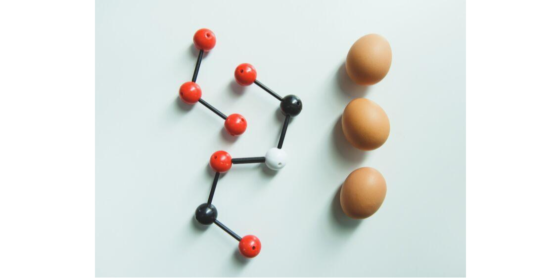 Rappresentazione visiva dell'articolo: Come l'alimentazione influisce sul corretto funzionamento ormonale