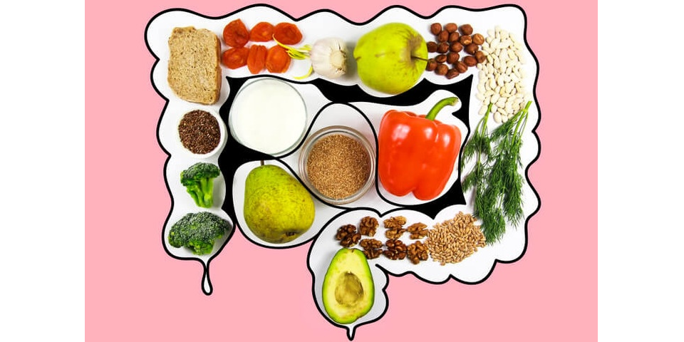 Rappresentazione visiva dell'articolo: Microbiota e alimentazione: i cibi migliori per favorire la salute intestinale