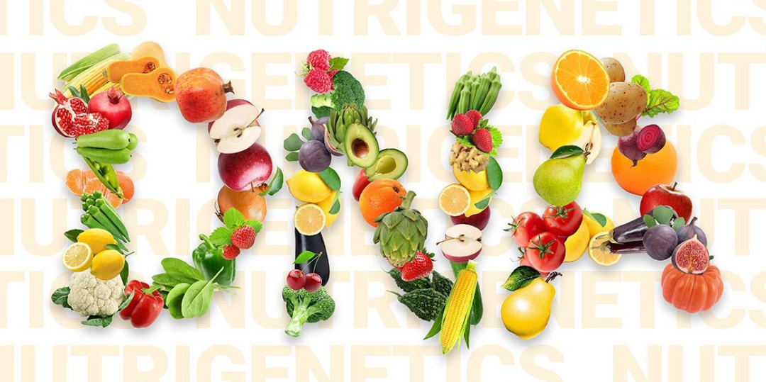Rappresentazione visiva dell'articolo: Nutrigenetica e Nutrigenomica: cosa sono?